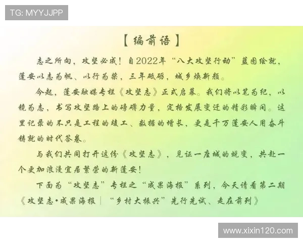 三城攻坚志：不信徐宁通拿不下